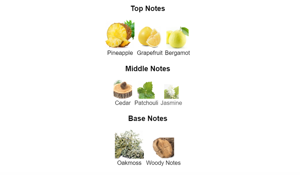 Niche Emarati Al Dana Lattafa - 100 ml eau de parfum